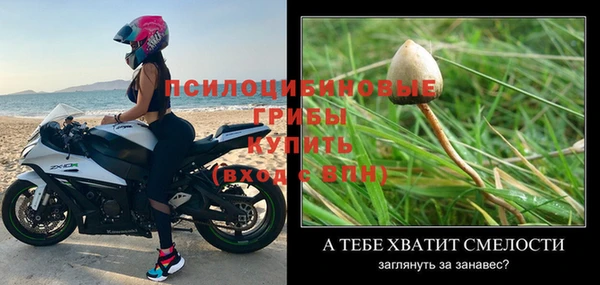 кокс Пестово